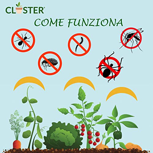 CLOSTER® Aceite de Neem Puro Nuevo 2020 Insecticida Plantas Natural Anti Mosquitos Desinfectante contra Chinches Pulgones Cochinilla Piojos Araña Roja Desinfestante Eficaz y Ecológico (250 ML)