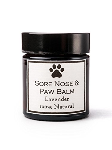 Clovelly Soap Bálsamo para Perros de Todas Las Razas de Lavanda Suaviza la Nariz y Las Almohadillas de Las Patas Combate la resequedad de la Piel y la comezón Tarro de 30 G 100% Natural