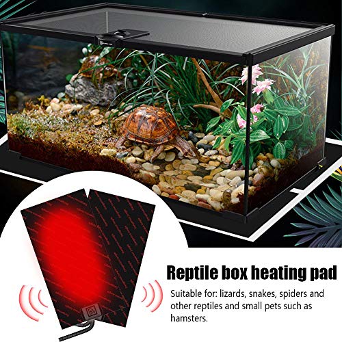 cming Manta Termica Reptiles Almohadilla Eléctrica para Terrario Reptiles Tortuga Serpientes Lagartos Geckos Arañas - Enchufe de la UE - 23W/46W/86W/130W/163W