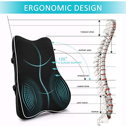 Cojin Lumbar Silla Oficina,Cojín Silla Con Espuma Viscoelástica,Respaldo Lumbar Espalda Ergonómico para Soporte Lumbar,Alivio de Dolor y Fatiga de Espalda,Almohada Lumbar para Automóvil, Silla Oficina