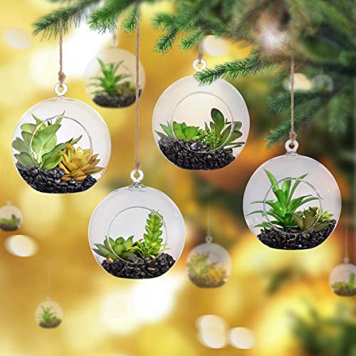 Colgante Planta de vidrio florero cristal redondo Terrario aire Planta de maceta Contenedor Candelabros Suculentas jardín en miniatura Decoración del hogar Jardín de interior Regalos Set de 24 (80MM)