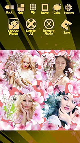 Collage de fotos de Sakura