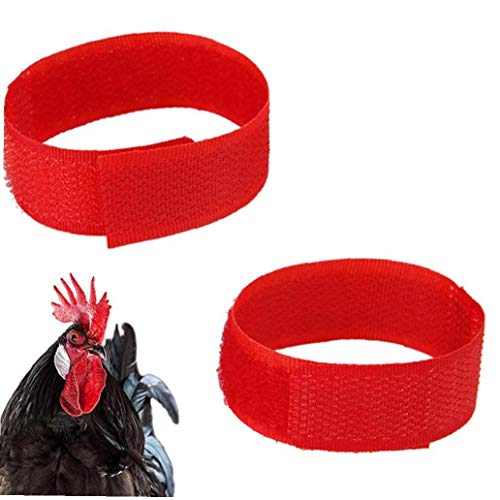 Collar 2pcs Pollo Anti Crow Gallo Collar Sin Crow Ruido Cuello De La Correa De Ruido Materiales De Banda Para El Cuello De Pollo Banda Para El Cuello Para Prevenir Los Pollos De Gritar, Molestar a Los