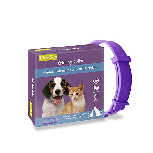 Collar calmante para perros y gatos,Collar ajustable contra la ansiedad,Alivio de la ansiedad de efecto calmante duradero a prueba de agua natural y seguro,1 paquete(Pequeño)