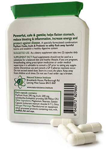 Colon Bowel CLEANSE, DETOX, PROBIOTIC - combinación ideal; psyllium, probiótico - fuerte pero suave Psyllium cleanse - MÁS 3 mil millones de bacterias amigables - 60 cápsulas Hecho en el Reino Unido