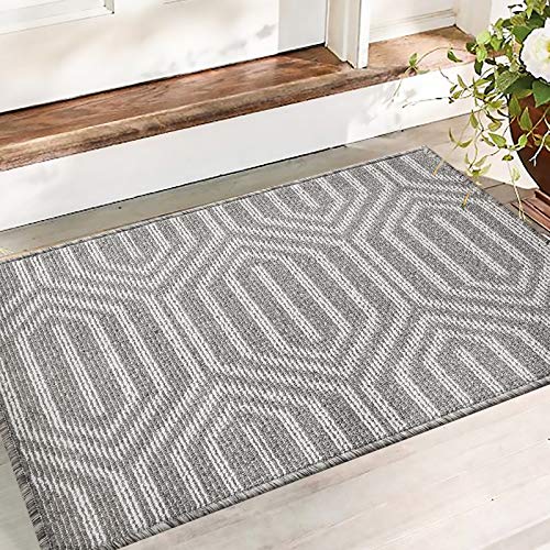 Color&Geometry Felpudo de Entrada, Alfombrilla Antideslizante, 50 x 80 cm Alfombra Exterior, Lavable a Máquina para Interior, Exterior, Patio, Cocina, Pasillo, Puerta Trasera Delantera (Gris)