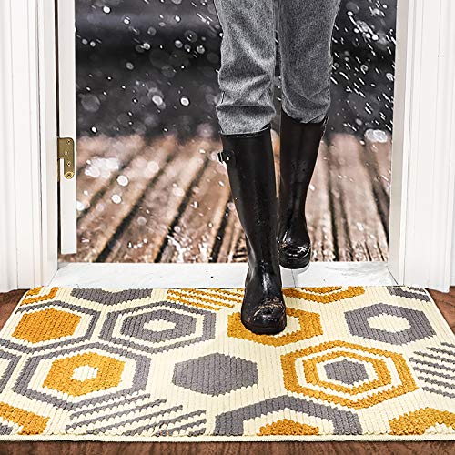 Color&Geometry Felpudo de Entrada, Interior Alfombra Antideslizante, Tapete para Puerta Lavable a Máquina, Absorbente para Pasillo, Cocina, Jardín, 80 x 120 cm, Beige