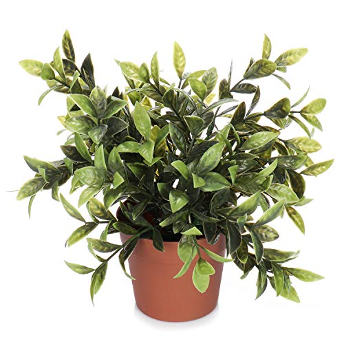 com-four® Planta Artificial en una Maceta, Planta Verde Artificial con Hojas Grandes para el hogar, la Oficina, la práctica o la Oficina, Muy fácil de cuidar (01 Piezas - Hojas Grandes)