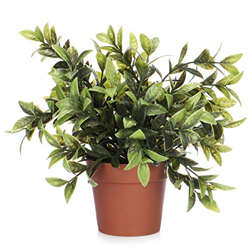 com-four® Planta Artificial en una Maceta, Planta Verde Artificial con Hojas Grandes para el hogar, la Oficina, la práctica o la Oficina, Muy fácil de cuidar (01 Piezas - Hojas Grandes)