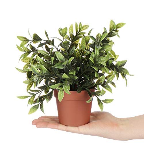 com-four® Planta Artificial en una Maceta, Planta Verde Artificial con Hojas Grandes para el hogar, la Oficina, la práctica o la Oficina, Muy fácil de cuidar (01 Piezas - Hojas Grandes)