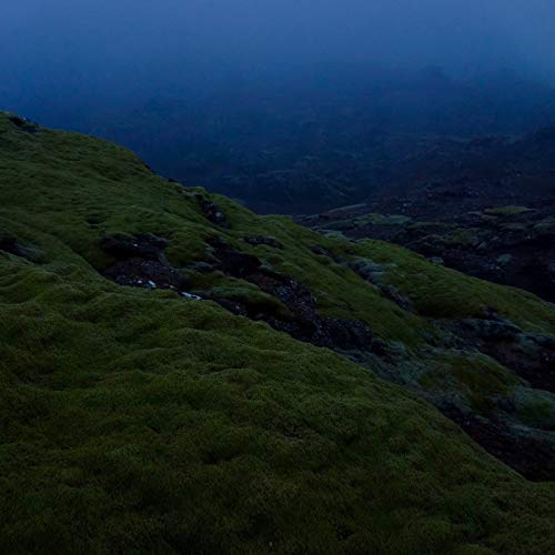 Comida Italiana (Live)