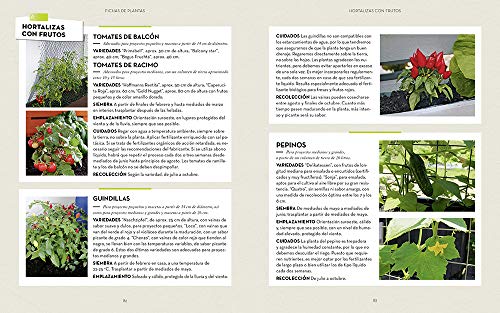 Cómo construir un huerto vertical. 20 proyectos para minijardines comestibles (GGDiy)