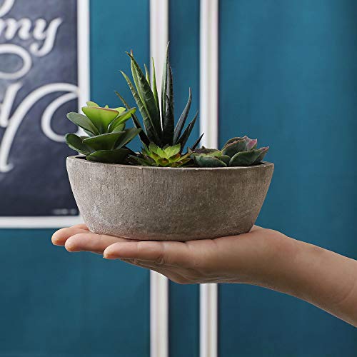 ComSaf Cactus Artificial Talla Pequeña Plásticas, Decorativas Suculentas Plantas Artificiales Decoración para Mesa de Comedor Sala de Estar Idea Regalo para Cumpleaños Boda Navidad
