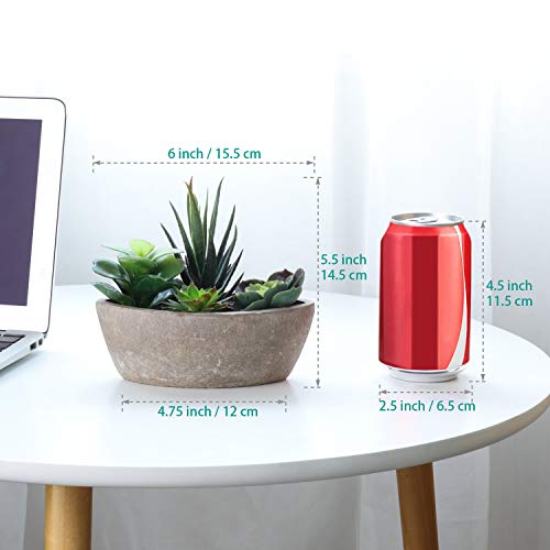 ComSaf Cactus Artificial Talla Pequeña Plásticas, Decorativas Suculentas Plantas Artificiales Decoración para Mesa de Comedor Sala de Estar Idea Regalo para Cumpleaños Boda Navidad