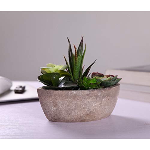 ComSaf Cactus Artificial Talla Pequeña Plásticas, Decorativas Suculentas Plantas Artificiales Decoración para Mesa de Comedor Sala de Estar Idea Regalo para Cumpleaños Boda Navidad