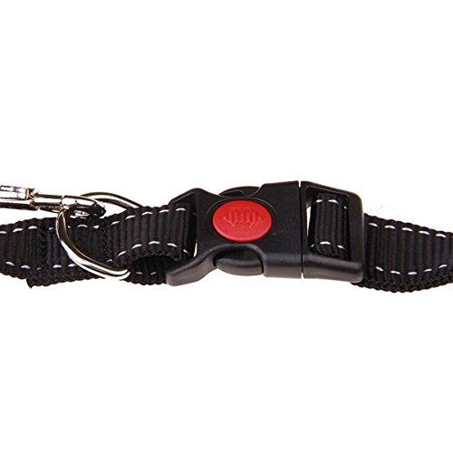 Correa manos libres NUOLUX, cinturón ideal ajustable para hacer senderismo, correr o caminar.