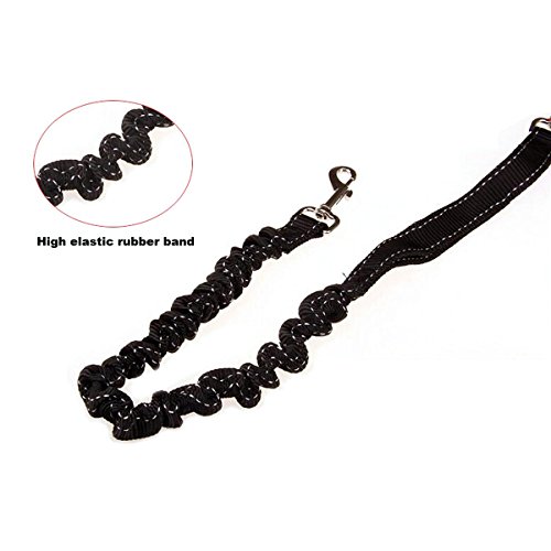 Correa manos libres NUOLUX, cinturón ideal ajustable para hacer senderismo, correr o caminar.