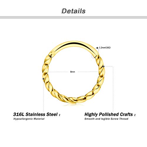 Crdifu 2 Piezas Anillos de Nariz Septum Aro 8mm Bisagra segmento Clicker Acero Inoxidable Piercing Labio Helix 16G CZ