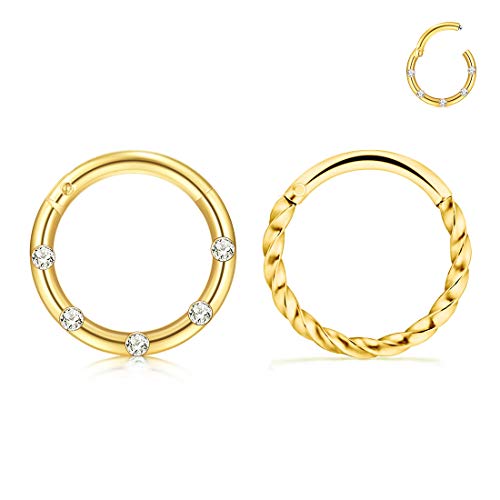 Crdifu 2 Piezas Anillos de Nariz Septum Aro 8mm Bisagra segmento Clicker Acero Inoxidable Piercing Labio Helix 16G CZ