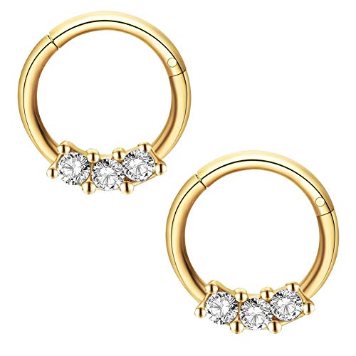 Crdifu Aros de Nariz Circular 16G Acero Inoxidable Anillos con CZ Clicker Sin Costura Piercing Tragus Helix Pendientes