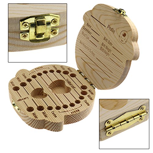 Create Idea Caja organizadora de Dientes de Madera para Guardar los Dientes de Leche de los niños pequeños