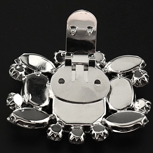 Create Idea Hebilla para Zapatos de Cristal extraíble Compatible con Zapatos de tacón Alto de Novia