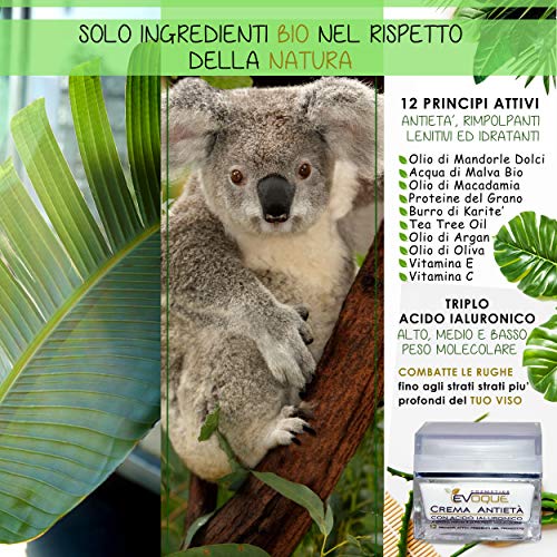 Crema Facial Antiarrugas Mujer con Ácido Hialurónico Puro. Antiarrugas e Hidratante Rica en Ingredientes Activos Vegano. Evoque Cosmetics Italy.