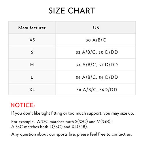 CRZ YOGA Sujetador Deportivo Yoga para Mujer Ejercicio Fitness Ropa Interior Morado Oscuro S