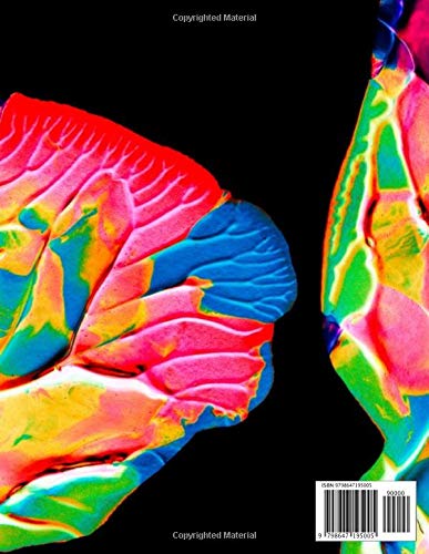 Cuaderno Punteado: 200 hojas punteadas Cubierta Pintura Abstracta Cuaderno multipropósito / Diario / (8.5 x 11 pulgadas) Spanish Edition (Pintura Abstracta Pro)