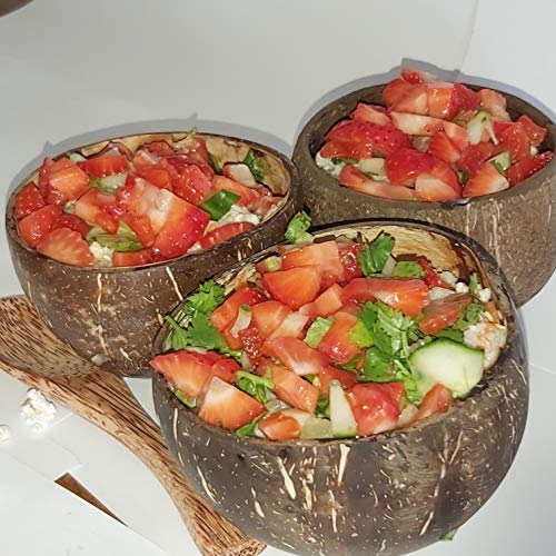 Cuenco de coco, cucharas, 4 unidades, 100% natural, hecho a mano, apto para veganos, regalo de navidad, para servir el desayuno, decoración, Sostenible