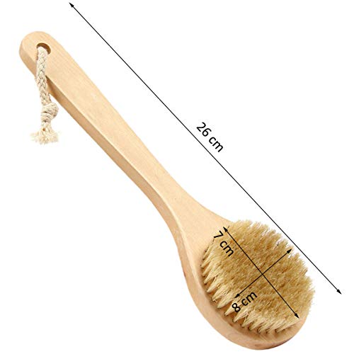 Cuerpo Cepillo Trasero Depurador Piel Larga Mango De Bambú Natural Cerdas Exfoliantes Piel Inicio Ducha Herramientas