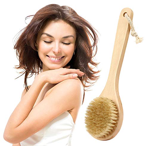 Cuerpo Cepillo Trasero Depurador Piel Larga Mango De Bambú Natural Cerdas Exfoliantes Piel Inicio Ducha Herramientas