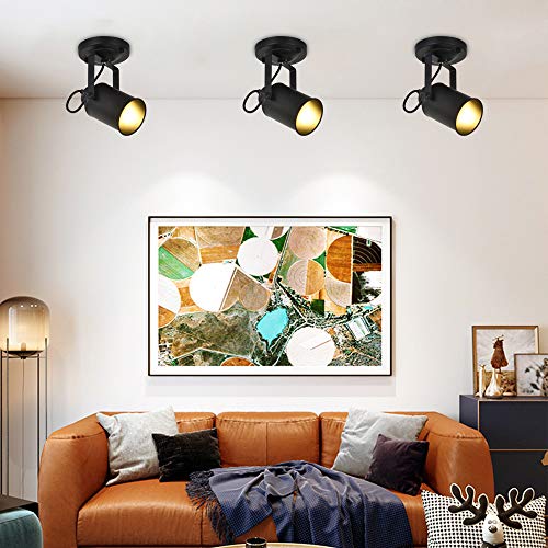 DAXGD Aplique de pared, lámpara industrial vintage para el hogar, luces colgantes decorativas en el brazo con brazo giratorio