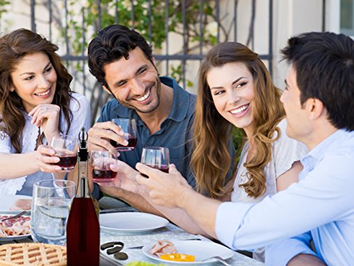 Deluxe 5 en 1 Enfriador, Vertedor y Aireador – Ideal para Enfriamiento de Vino - Utensilio Cortador de Aluminio y Bolsa de Almacenamiento - Accesorio Para Fiestas Eventos – Regalo para Navidad