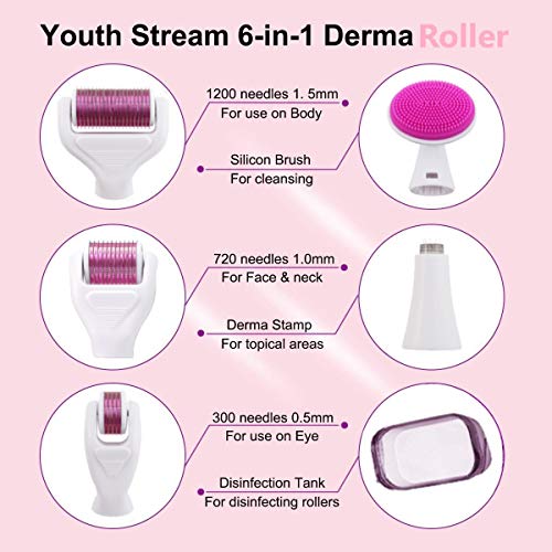 Derma Roller,AMAYGA Rodillo Agujas,Microneedle Derma Roller,Sistema de microagujas 6 en 1 por para reducir arrugas,puntos oscuros,cicatrices,celulitis,estrías para usar en cara,cuerpo