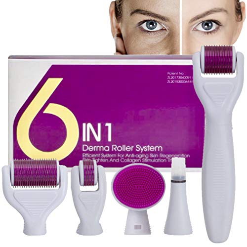Derma Roller,AMAYGA Rodillo Agujas,Microneedle Derma Roller,Sistema de microagujas 6 en 1 por para reducir arrugas,puntos oscuros,cicatrices,celulitis,estrías para usar en cara,cuerpo