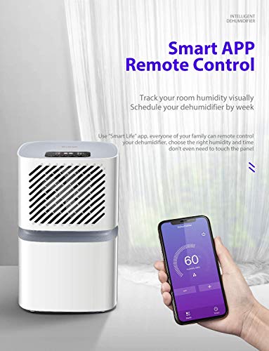 Deshumidificador iTvanila 12L por día para uso doméstico con control WiFi, pantalla LED con apagado automático, secado de la ropa, flujo continuo con manguera, color blanco
