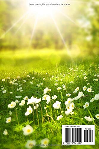 Diario de Yoga Facial: eliminar eficazmente las arrugas