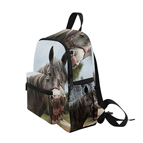 Divertida mochila de melena de caballos para niñas y niños, escuela, viajes, mini bolsa de libros
