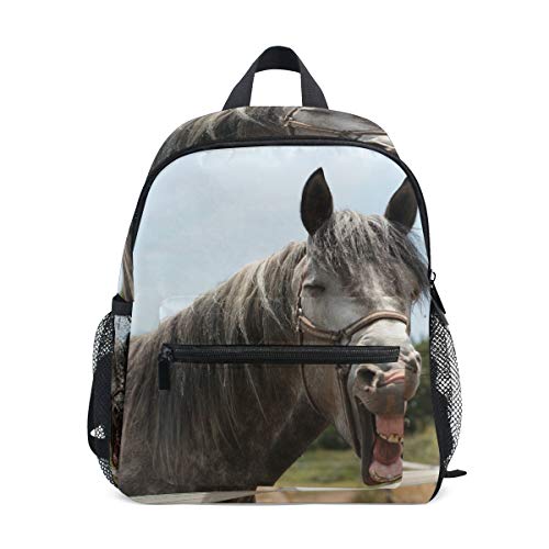 Divertida mochila de melena de caballos para niñas y niños, escuela, viajes, mini bolsa de libros