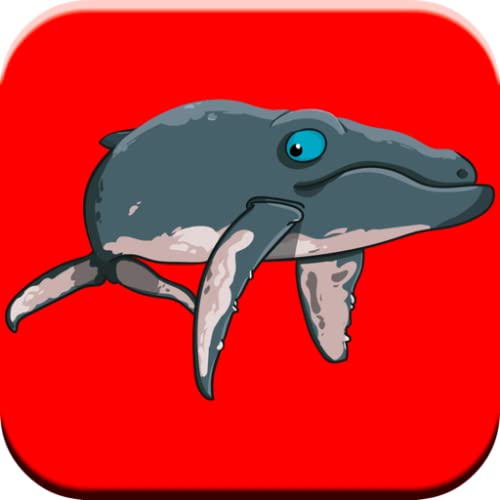 Divertido juego de espectáculo de ballenas y mi delfín para niños Sonidos de delfines gratis, rompecabezas y juegos de combinación para niños y niñas menores de 6 años