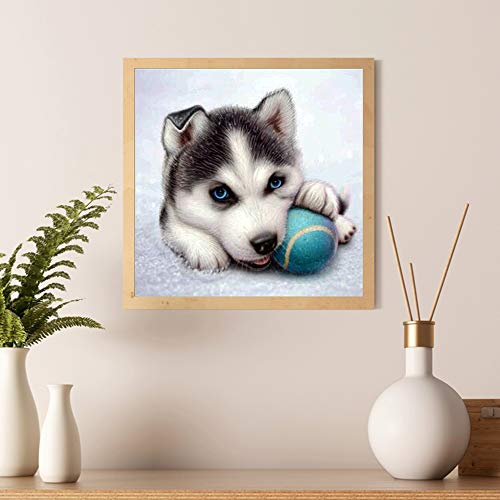 DIY 5D diamond painting,5d diamond pintura de diamantes Cachorro y pelota, pintura por número cuadros punto de cruz diamante manualidades decoración de la pared para el hogar 25x25cm