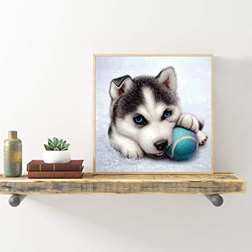 DIY 5D diamond painting,5d diamond pintura de diamantes Cachorro y pelota, pintura por número cuadros punto de cruz diamante manualidades decoración de la pared para el hogar 25x25cm