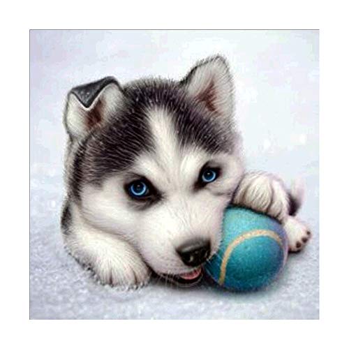 DIY 5D diamond painting,5d diamond pintura de diamantes Cachorro y pelota, pintura por número cuadros punto de cruz diamante manualidades decoración de la pared para el hogar 25x25cm