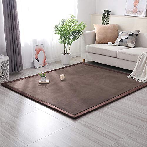 DJHWWD Alfombras Elasticidad Anti-Sucio Habitacións La Alfombrae 2cm de Espesor Pura bebé elástica Blanda de Color marrón Puede rastrear Jugando Alfombra Lavable La Alfombraes marrón 100X100CM