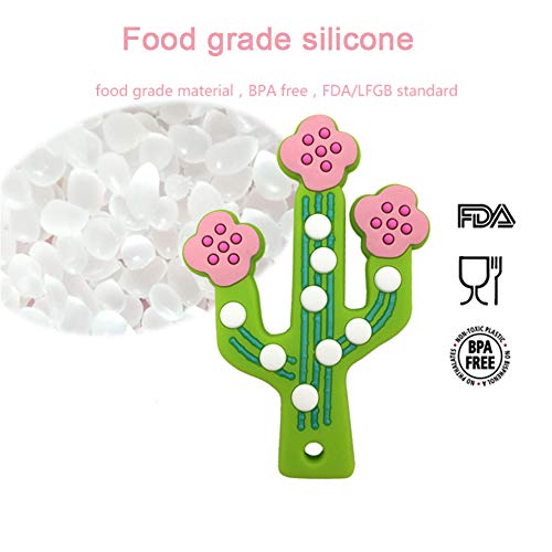 DNNAL Juguetes molares para niños, Mordedor de Cactus para bebés Higiénico y fácil de Limpiar, Juguetes para Masticar para bebés, Entrenamiento de mordedor para aliviar el Dolor y calmante