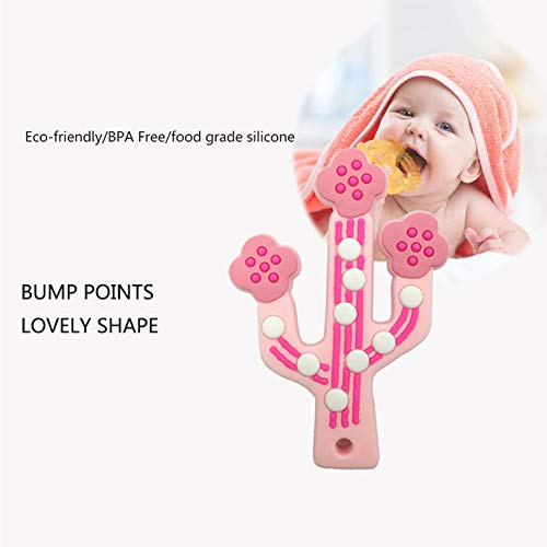 DNNAL Juguetes molares para niños, Mordedor de Cactus para bebés Higiénico y fácil de Limpiar, Juguetes para Masticar para bebés, Entrenamiento de mordedor para aliviar el Dolor y calmante