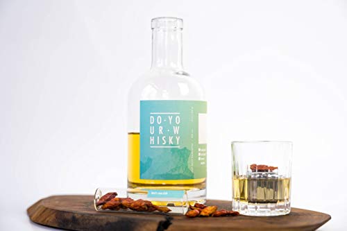 Do You Whisky Set de infusión para casa & como regalo para hacer sabor a whisky 12 maderas & Botanicals en vaso de cristal, 6 piedras de whisky DO YOUR GIN conocido de Sat1, pájaro, espejo