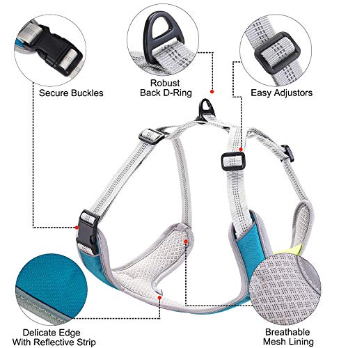 Dociote Arnés Perro - Transpirable y Ajustable Antitirones Chaleco con Lineas Reflectantes para Perros Grande y Mediano L Azul
