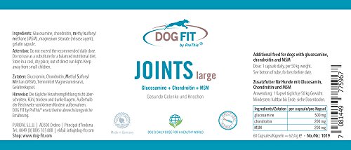 Dog FIT de PreThis® Joints Grande, Mediano y pequeño | Remedio Articular Perros con Dolor Articular y osteoartritis | Nutrientes para Las articulaciones